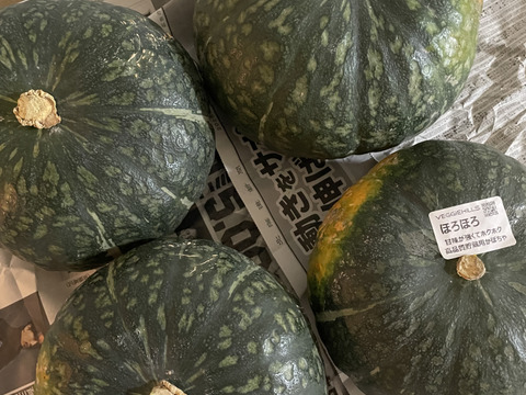 ★北海道★化学農薬不使用かぼちゃ、ほろほろ4個セット、北海道産かぼちゃ