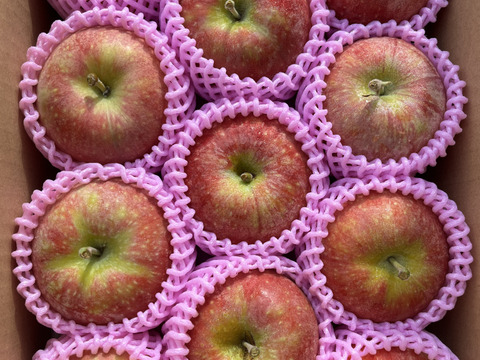 シャキシャキ！ジューシーりんご！シナノリップ 約2kg 信州りんご