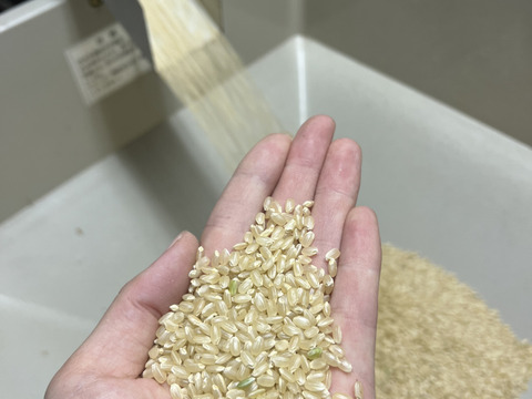 るるさん専用農薬：栽培期間中農薬不使用、なつほのか精米５㎏、にこまる精米5kg 農薬不使用、なつほのか玄米5kg