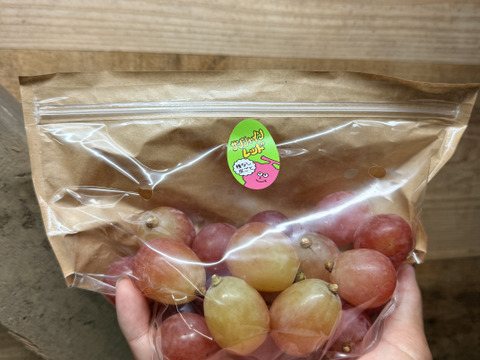 サンシャインレッド粒ぶどう 約1kg｜350g×3袋：山梨県産のサンシャイン