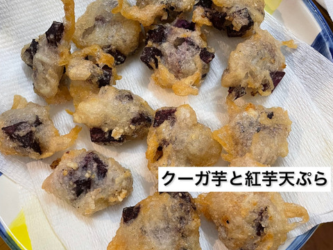 【数量限定！】本場沖縄のスーパーフード！
月桃の葉(5~6枚)と琉球自然薯(1kg)の限定セット
