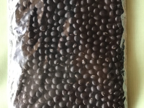 自然農で作った令和7年産　黒千石大豆　500g
