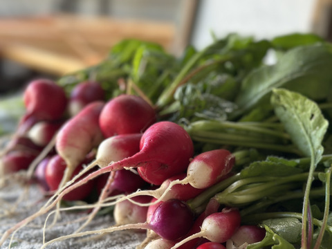 【箱いっぱいにお届け！】農薬不使用キラピカ旬野菜BOX11〜12品、朝穫れ農の島＊大三島＊よりお届け！