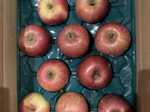 残りわずか！味濃い甘い！サンふじ★無肥料.農薬節約30%〜.除草剤.摘果剤.摘葉剤不使用★【5kg箱】
玉数指定不可/予約販売開始！/家庭用/りんご