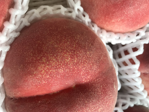 山梨県産かための”甘〜い桃” 約３kg（８～11玉）【冷蔵便】贈答　ギフト　ご家庭にも