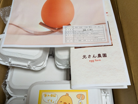 平飼いの美味しいたまご『規格外たまご100個』超お得！！【不定期】