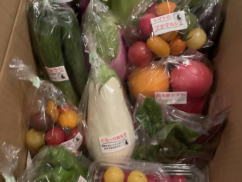 那須高原旬の野菜Mセット 7～8品種・高原の季節をお届けします！