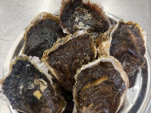 【広田湾米崎産】岩牡蠣 ３Ｓｻｲｽﾞ５個（生食用）