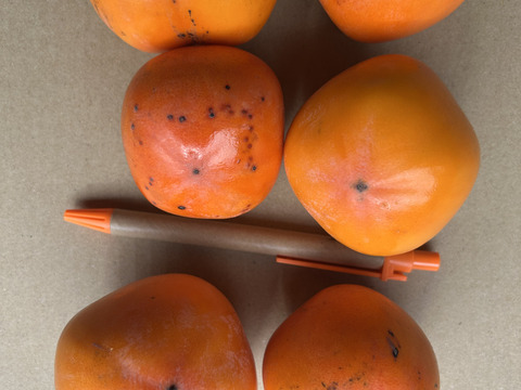 小さめ渋柿2Kg。柿酢など瓶詰めしやすい。干し柿にも