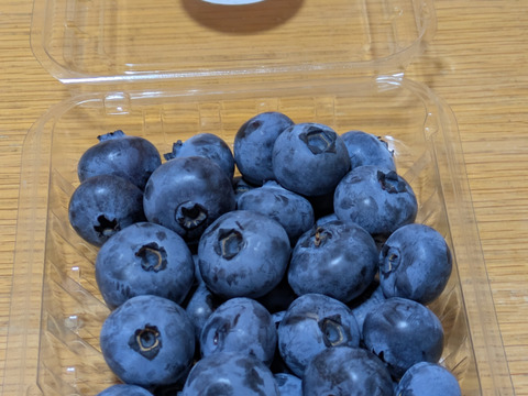 大粒ブルーベリーミックス500g(125g×4P)