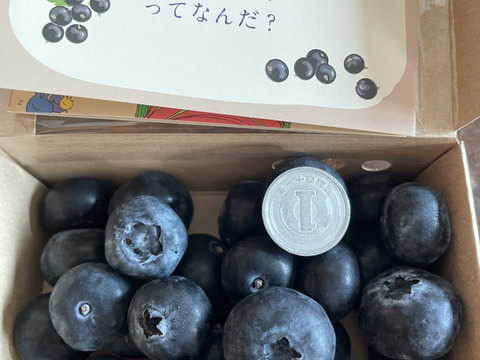 【期間限定販売！】極大粒！クリスピーベリー premium 100g×1pc