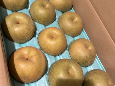 令和7年8月発送【予約】梨 幸水 良品5kg‼️長野県産