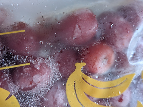 冷凍☆グミの実☆グミの木の実☆30個入り🍒 冷凍便にてのお届けになります🍒栄養価の高い和製スーパーフード、グミの実🍒 （※そのまま食べれますが渋みがありますので気になる方は果実酒やジャム等に）
