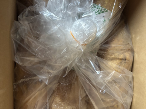今が旬：絶品】朝掘り！島本町のタケノコ(2kg) 筍約2〜4本：大阪