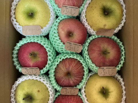 【訳あり】☆農薬不使用りんご☆と特別栽培りんご(品種おまかせ)詰め合わせ3キロ（８〜１２玉）