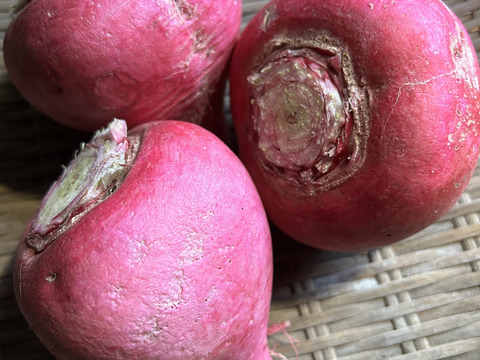 【農薬・化学肥料不使用】MOA自然農法で育った大根・赤かぶ4種セット 2kg