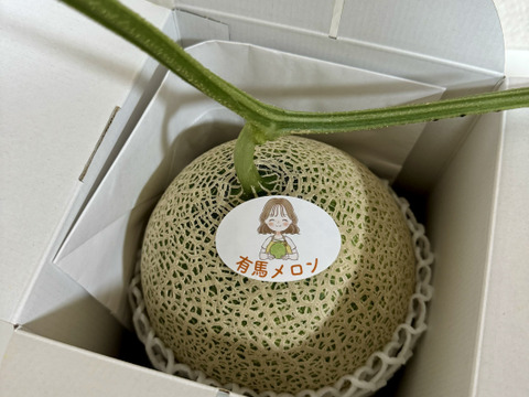 【県知事賞受賞】有馬温泉の麓産 特秀品 赤肉メロン🍈 最高等級7L 1玉｜土づくりと甘さにこだわった農薬節約栽培🌱 兵庫県産 レノン《7月中旬頃〜発送🚛³₃》【お中元】【夏ギフト】【特秀品】
