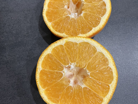 香り弾ける！ジューシー伊予柑 ご家庭用 8kg