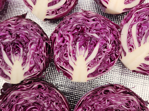 鮮やか！紫キャベツ【レッドブライト】3玉