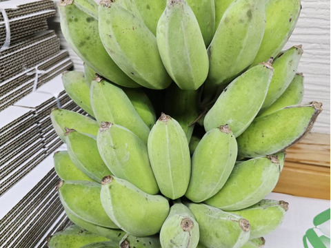 【お試し価格】アップルバナナ！3kg