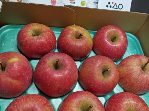 農薬半減栽培【キズなし良品】低農薬で皮ごとうまい🍎サンふじ🍎3kg  葉とらずりんご 旬 化学肥料不使用 特別栽培認証取得
