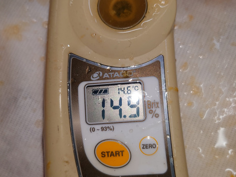 新品種☆ひぜんユース☆3.5キロ