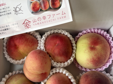B15山梨県産 桃 クール便・約10kg ご家庭用・加工用【超訳