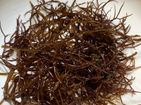 天然1等品！水で戻しそのまま食べれるコリコリと美味しい『新芽ふのり』50g