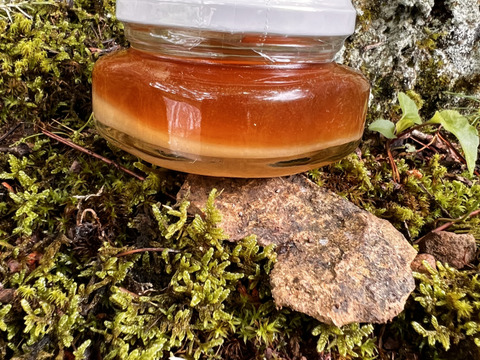 【福袋2025】野生日本蜜蜂　花粉蜜1個110g【非加熱の生はちみつ】🎉8周年記念スペシャルプライス🎉  人気の日本蜜蜂の花粉蜜4,260円→3,400円（800円OFF！）