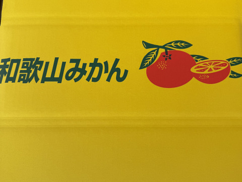 和歌山県産　完熟ゆら早生　(10kg)