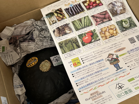 ラスト３セット　　　　
収獲から３０日経ちました。しっかり追熟できております。
しっとり甘いブラックのジョー（栗かぼちゃ）
かぼちゃ２～３玉（３Ｋｇ以上）
価格は２５００円　
ホクホク感は薄れてます。