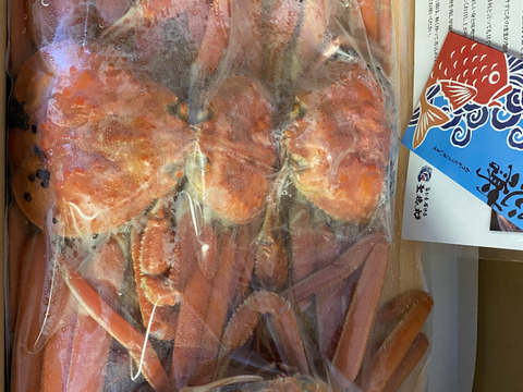 たまらない旨さ✨本ズワイガニ~人気でお得な浜茹で1.5Kgセット~