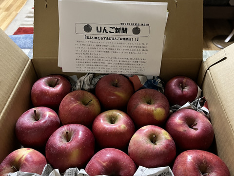 【今だけお買い得！訳あり★50%OFF★】家庭用葉とらずふじりんご3㎏【長野県産】