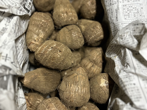⚠️数量限定⚠️『黒いダイヤ』高級料亭で出される里芋の味をご家庭で！生産量トップクラスの所沢から送る絶品里芋！※芽なしという訳ありですが、農家のみぞ知る絶品です。5kg（約30〜40個入り）