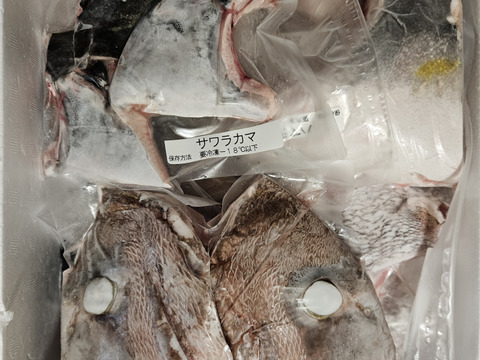 カマ、腹身SET