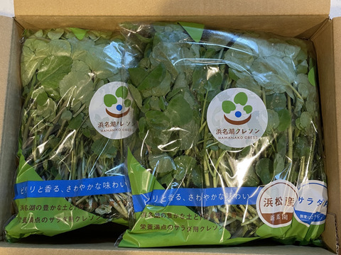 天然クレソン　採れたて1kg クール便 午前11時〆切即日発送 ※土日祝除く】【満点☆青空レストランでも紹介
