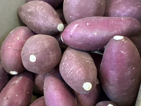 日本さつまいもサミット2023-2024最高栄冠受賞・髙鍋農園ブランド”おいしさの極み”紅琥珀スイート®は畑から収穫した天然スイーツ。上品な甘さが最高に美味しいスイーツ❗😋3㎏【阿蘇・西原産】