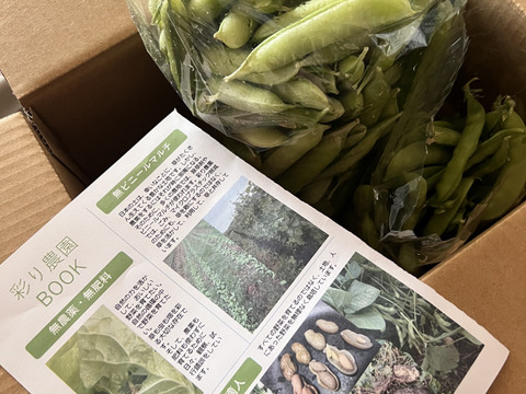 【自然栽培】グリンピースとひと味違う「うすいえんどう」(1kg)
