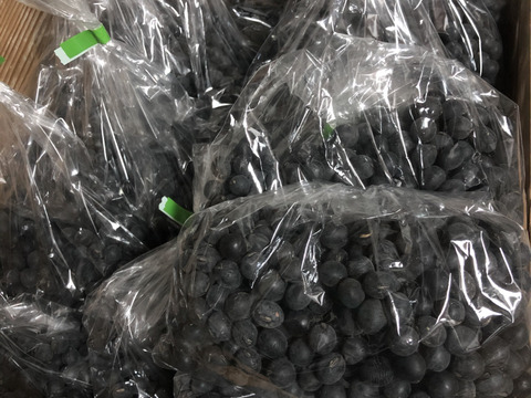 丹波篠山産　黒大豆（令和5年産）1000g 
日本農業遺産認定の黒豆