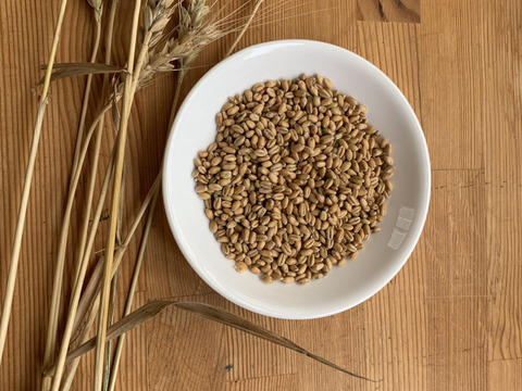 「地粉うどん　細麺タイプ」　山梨県産小麦粉１００％　農薬・化学肥料・除草剤不使用