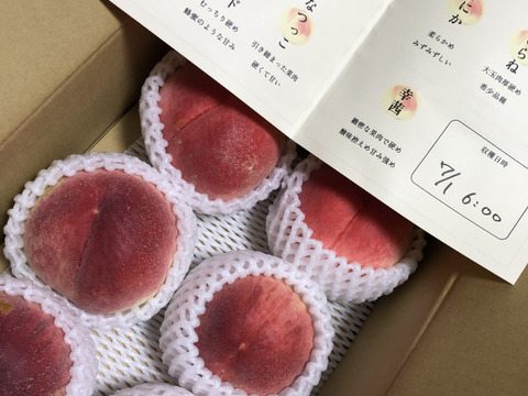 【かため桃】シャキッとかための桃好き必見！桃のリレーが楽しめる！約2kg 約5~6玉