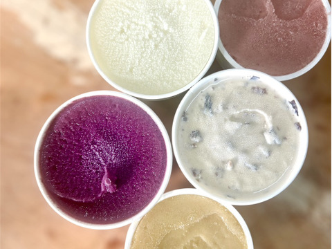 【冬ギフト】ぶどう農家のこだわりジェラート＆シャーベット　5種各2個(計10個)