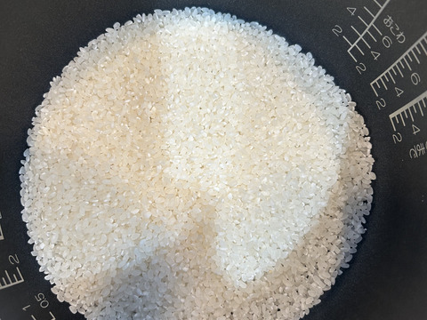 奈良県五條市産／柿名産地　ひとめぼれ米🌾