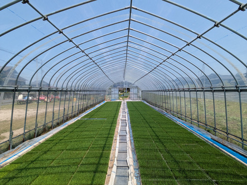 栽培期間中農薬不使用!! 京丹後産『コシヒカリ』玄米4.5kg