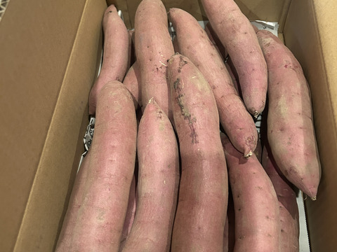 【厳選！5kg弱×1箱】ねっとり濃厚、密たっぷり熟成さつまいも🍠「べにはるか」（S/Mサイズ混合お任せセット）