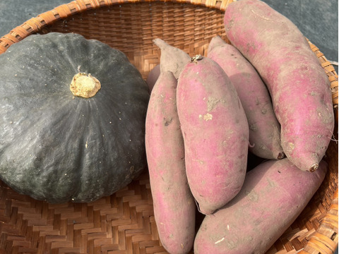 栽培期間化学肥料・農薬不使用「あまはづき」+栗カボチャセット！（かぼちゃ1玉+さつまいもセット）合計5kg