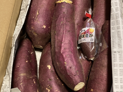 【訳あり】どすこいサイズ「ゆきこまち」  5キロ箱