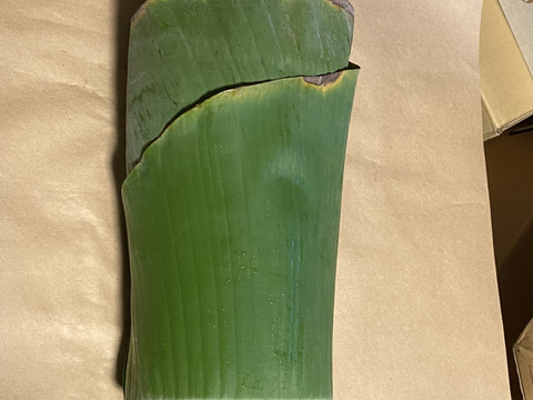 バナナの葉（バナナリーフ）4枚分　芯なし　90センチ前後