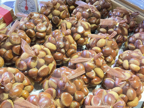 旬の秋！農薬不使用で育てた体に優しい生栗2L以上 (2㎏)：茨城県