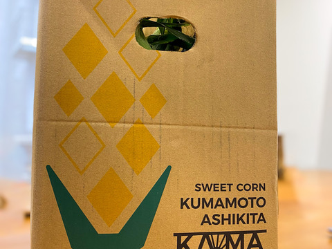 【お試し価格】是非一度食べてみて🌽【ドルチェドリーム】10本＜食べチョクプロデュース商品＞とうもろこし
